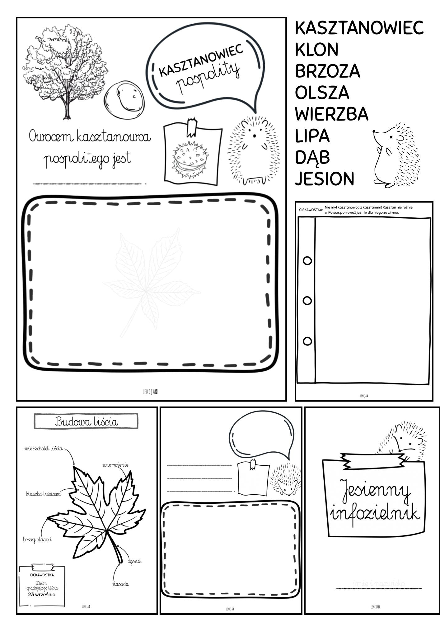 JESIENNY INFOZIELNIK🍂