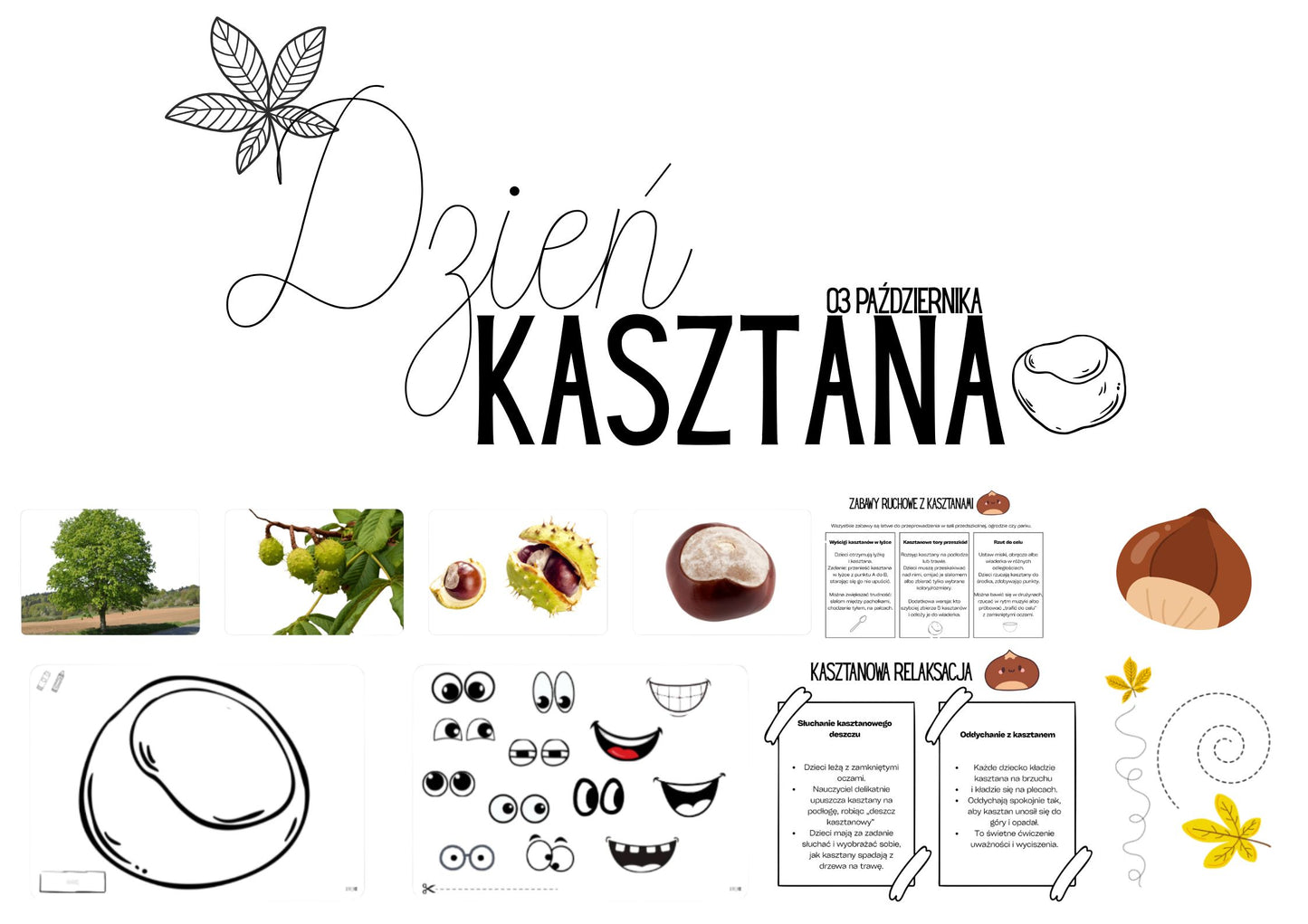 DZIEŃ KASZTANA 🌰