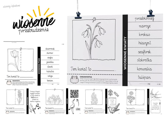 WIOSENNE PRZEBUDZENIE🌷