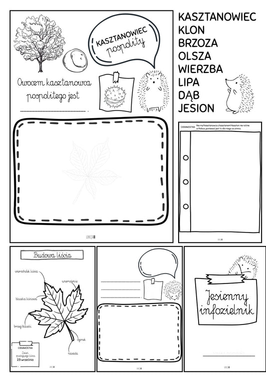 JESIENNY INFOZIELNIK🍂